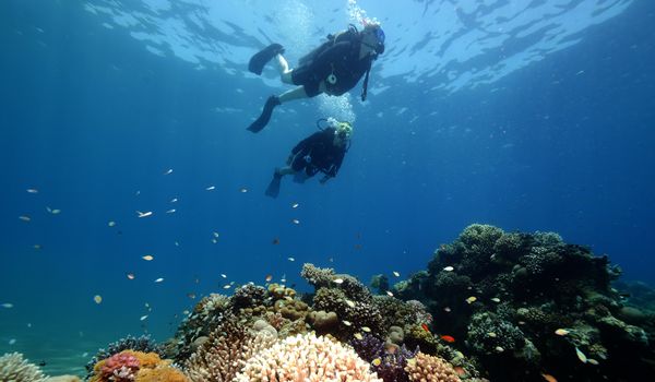 PADI SCUBA DIVER 